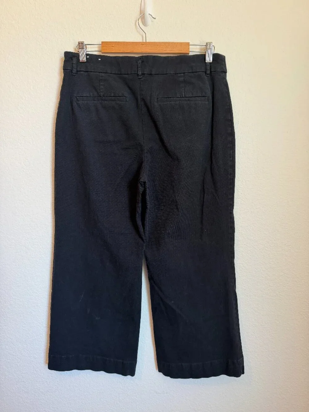 LOFT Palmer Wide Leg Pants in Twill Size 14P